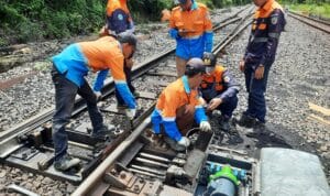 WhatsApp Image 2025-06-03 at 16.12.30_93d2b54d