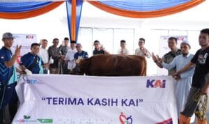 WhatsApp Image 2025-06-06 at 13.47.57_0bdde90e