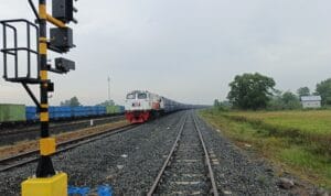 WhatsApp Image 2025-10-06 at 14.54.30