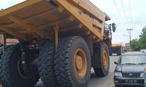 image_750x_63481777b59de