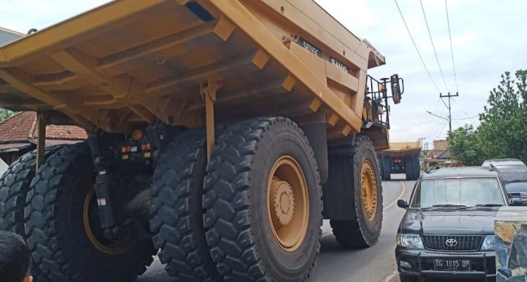 image_750x_63481777b59de