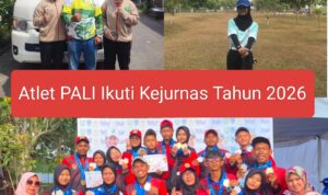 Oplus_131072