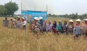 IMG-20260922-WA0026