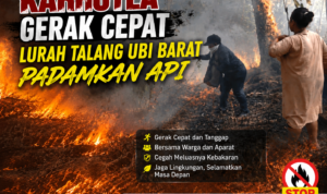 file_000000004e408211a715835de2f2a5ec